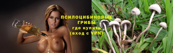COCAINE Богданович
