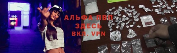 COCAINE Богданович