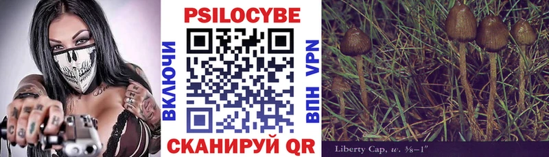 продажа наркотиков Кущёвская Псилоцибиновые грибы ЛСД