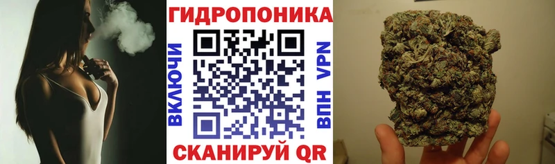 Конопля конопля  Кущёвская 